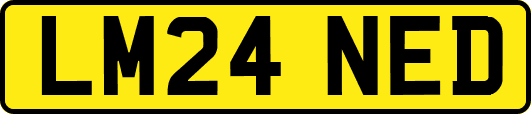 LM24NED