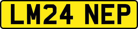 LM24NEP