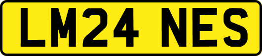LM24NES