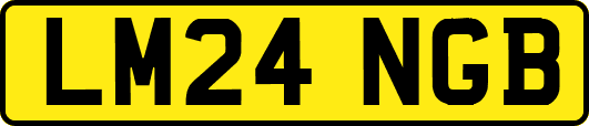 LM24NGB