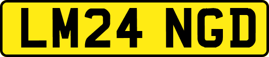 LM24NGD