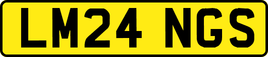 LM24NGS