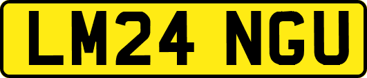 LM24NGU