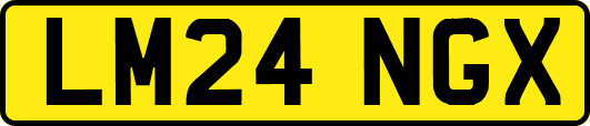 LM24NGX