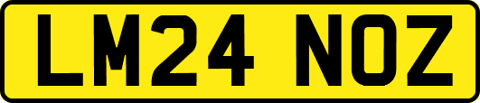 LM24NOZ