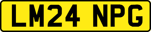 LM24NPG