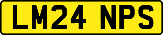 LM24NPS