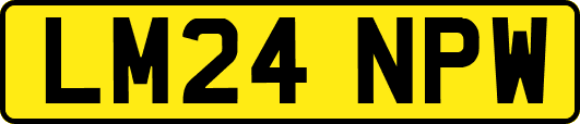 LM24NPW