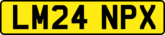 LM24NPX