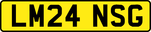 LM24NSG