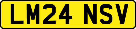 LM24NSV