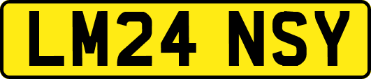 LM24NSY