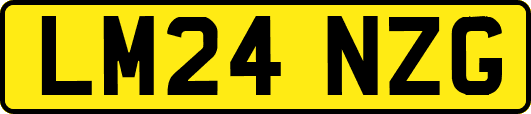 LM24NZG