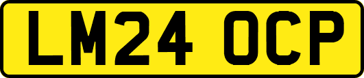 LM24OCP