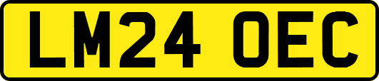LM24OEC