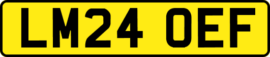 LM24OEF