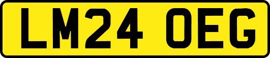 LM24OEG