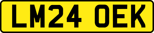 LM24OEK