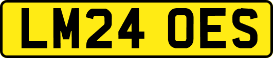LM24OES