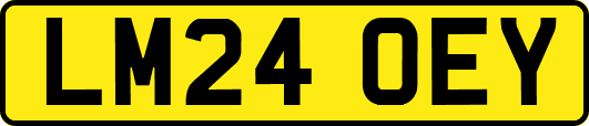 LM24OEY