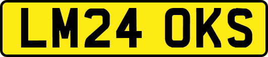 LM24OKS
