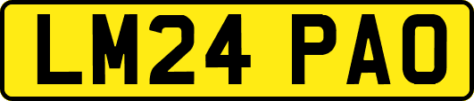 LM24PAO
