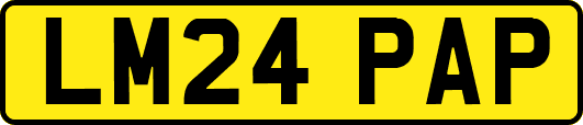 LM24PAP
