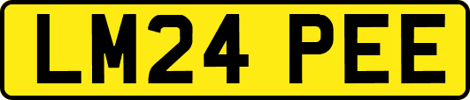 LM24PEE