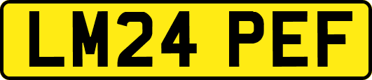 LM24PEF