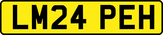 LM24PEH