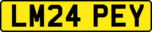 LM24PEY