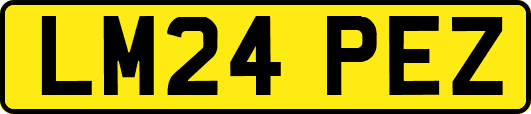 LM24PEZ