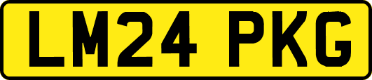 LM24PKG