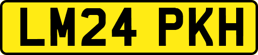 LM24PKH