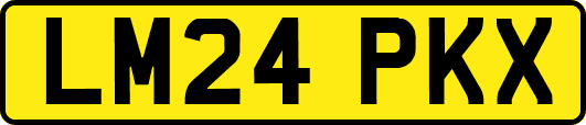 LM24PKX