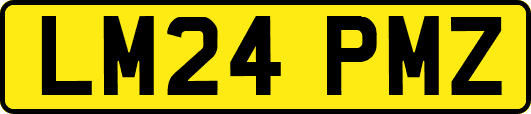 LM24PMZ