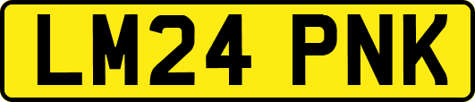 LM24PNK