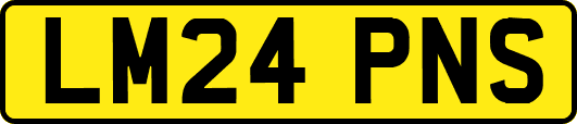 LM24PNS