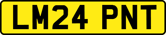LM24PNT