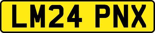LM24PNX