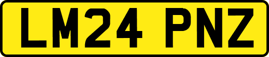 LM24PNZ