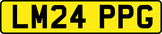 LM24PPG