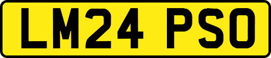 LM24PSO