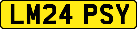 LM24PSY