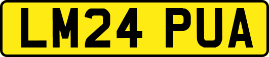 LM24PUA