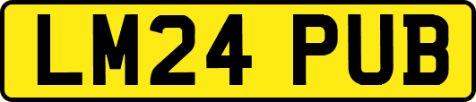 LM24PUB
