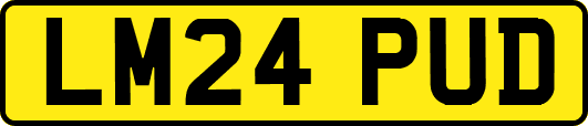 LM24PUD