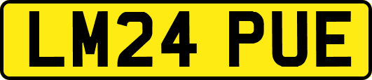 LM24PUE