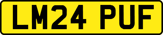 LM24PUF