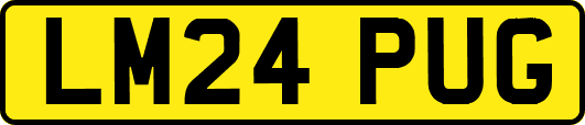 LM24PUG